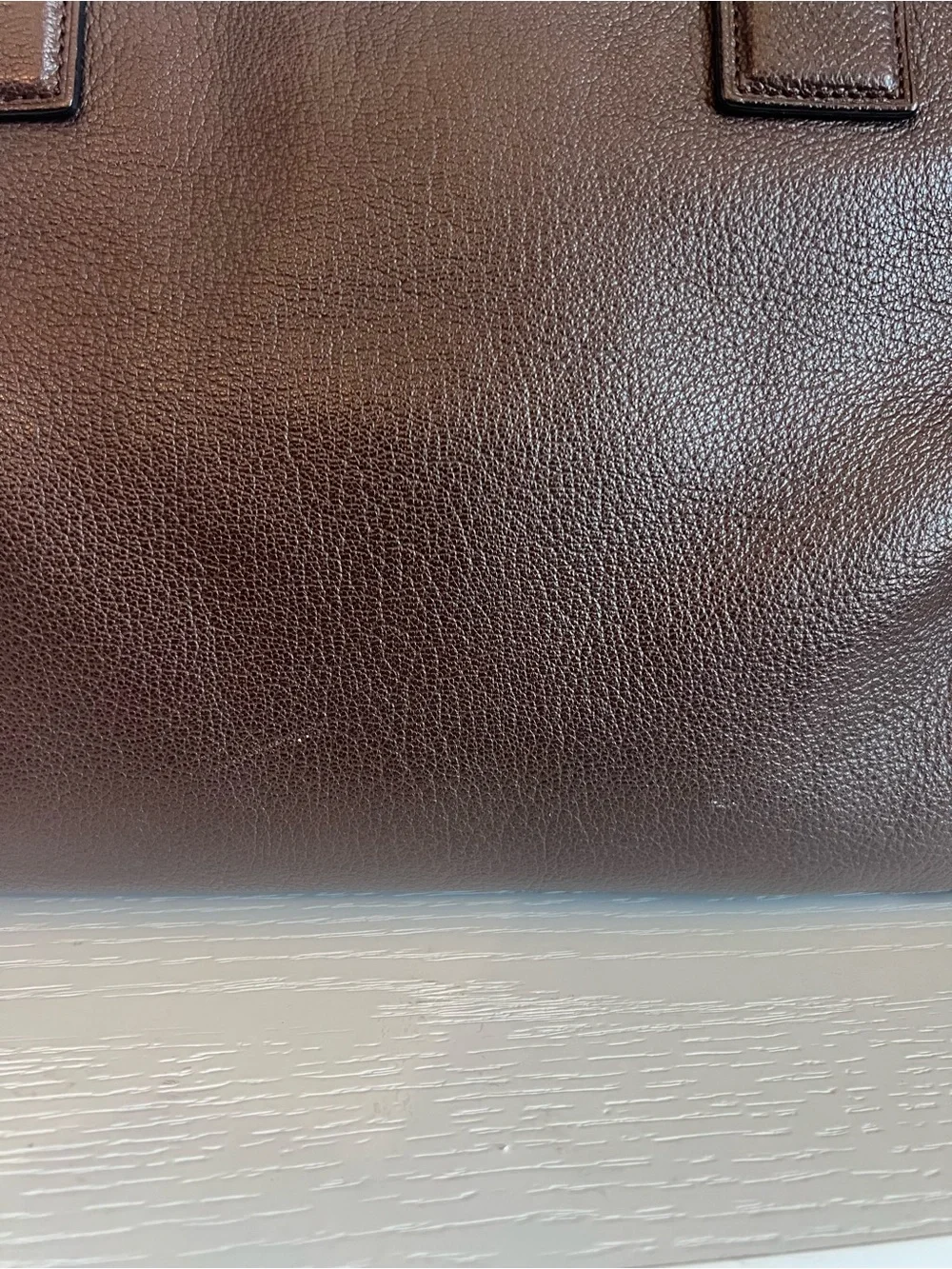 Loewe Amazona Bag